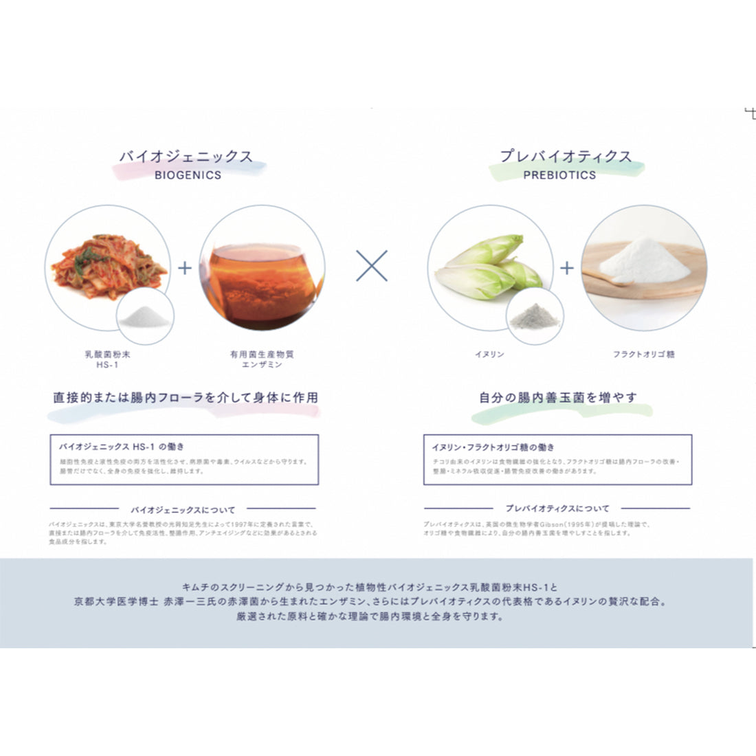 ラクトレジーナ(Lact Regina) with HS-1 90錠 乳酸菌サプリメント