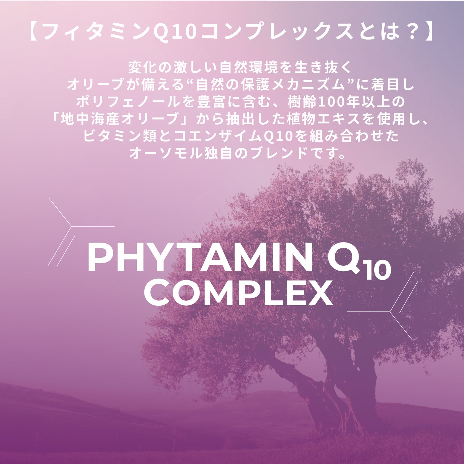 Orthomol オーソモル ビューティ