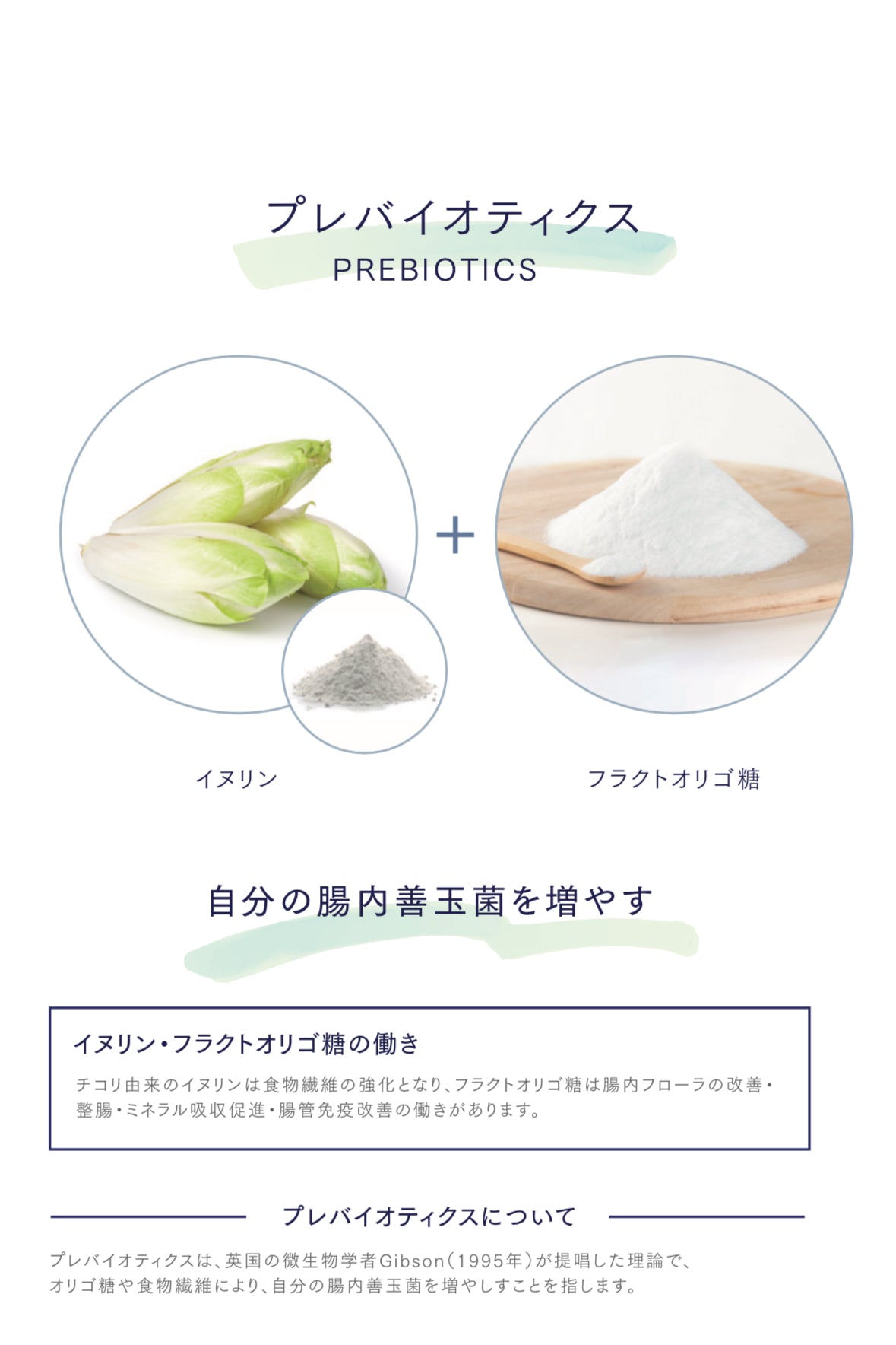 ラクトレジーナ(Lact Regina) with HS-1 90錠 乳酸菌 ラクトレジーナ(Lact Regina) with HS-1 90錠 乳酸菌
